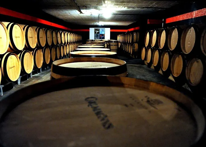 Les De Magnus بيت ضيافة Fronsac (Gironde)